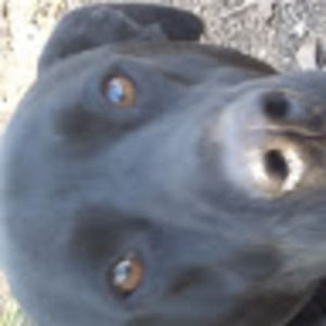 Meet your Posher, Bryant